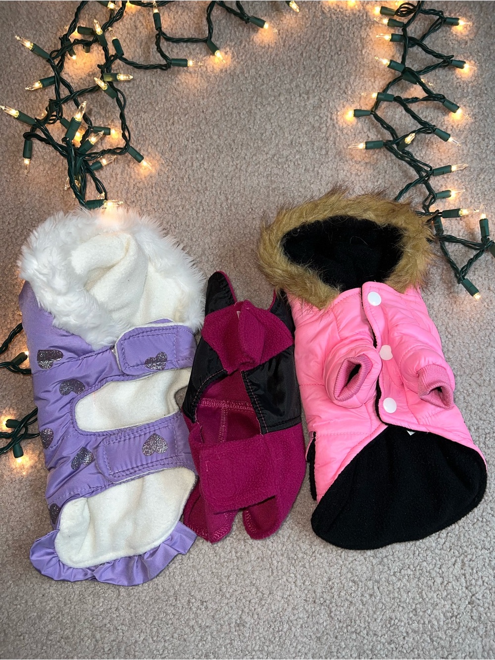 Bundle of 8 Small & XS Dog Coats & Jackets! SO CUTE! Gently used, clean! - Picture 7 of 7